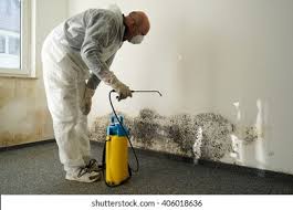 Oak Grove, MN Mold Removal Company